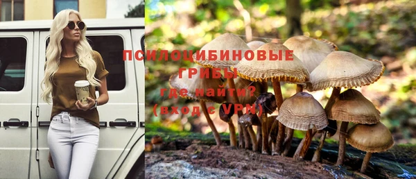 меф Бородино