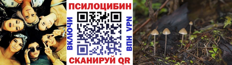 Псилоцибиновые грибы MAGIC MUSHROOMS  хочу   Княгинино 