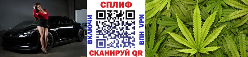 Каннабис сатива продажа наркотиков Княгинино